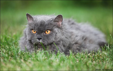 "Tänne ei salaa livahdeta!"